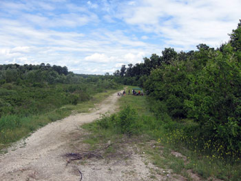 let's bike it vlad dulea geo atreides prima editie