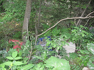 ecologizare piatra craiului 2009