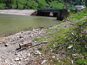 ecologizare piatra craiului 2009