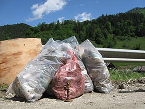 ecologizare piatra craiului 2009