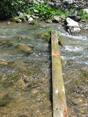 ecologizare piatra craiului 2009