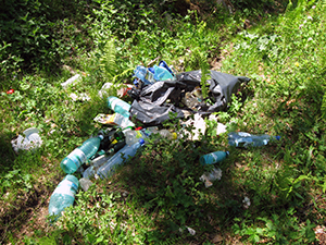 ecologizare piatra craiului 2009