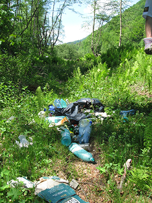ecologizare piatra craiului 2009