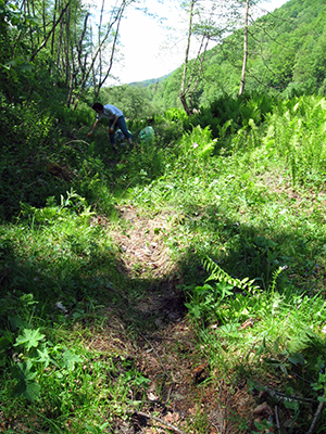 ecologizare piatra craiului 2009