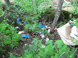 ecologizare piatra craiului 2009