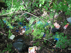 ecologizare piatra craiului 2009