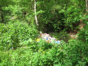 ecologizare piatra craiului 2009
