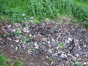 ecologizare piatra craiului 2009