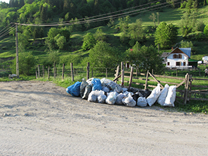 ecologizare piatra craiului 2009