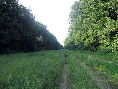 let's bike it vlad dulea geo atreides a doua editie ecologie romania peisaje