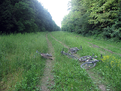 let's bike it vlad dulea geo atreides a doua editie ecologie romania peisaje