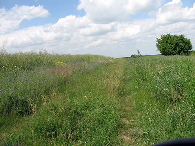 let's bike it vlad dulea geo atreides a doua editie ecologie romania peisaje
