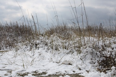 2010 Snow at the Beach 021