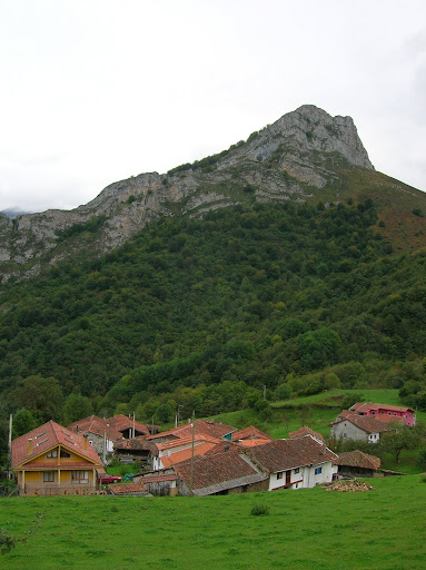 viego