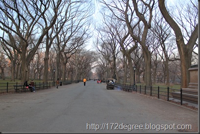 newyork 351