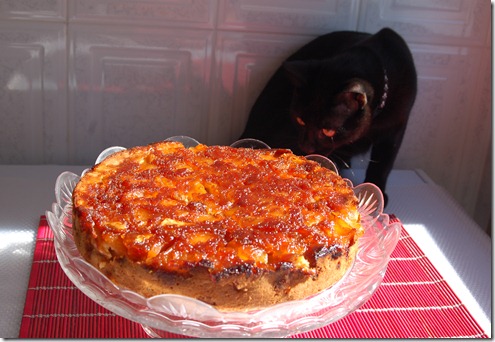 bolo_maca_caramelada3