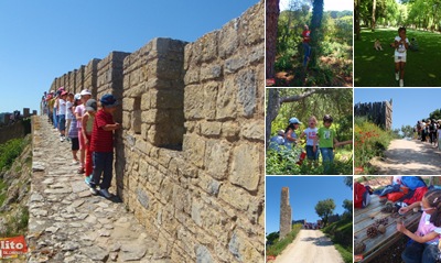 Exibir Visita de estudo a obidos