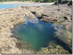IMG_1737 IMG_1737