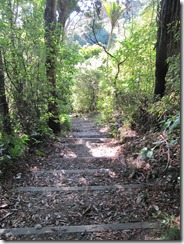 IMG_1745 IMG_1745
