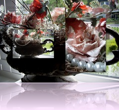 2009-06-05 2009-06-05