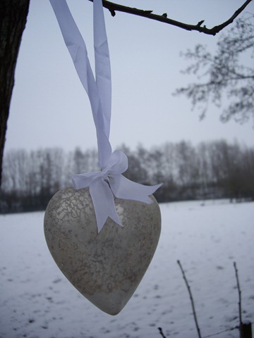 [sterretjes 015[2].jpg]