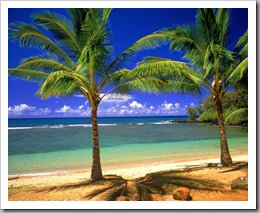 Tropical_Lagoon