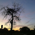 31072009103.jpg
