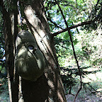 IMG_6969.JPG