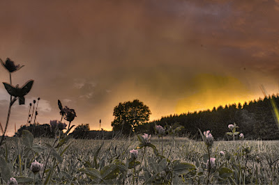 IMG_0724_5_6_tonemapped.jpg