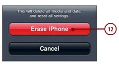 Tap Erase iPhone at the prompt. 