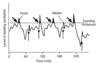 Model of the control of feeding in a locust eating wheat. Similar principles are believed to apply to other insects. The irregular line shows the level of feeding excitation (the central excitatory state). When this exceeds a threshold, the insect feeds. Notice that after a meal, the excitatory state declines sharply. Subsequently it rises slowly and the level oscillates with a period of about 15 min. Defecation (upwardly pointing arrows) causes a sudden rise in excitation. If this causes excitation to exceed the threshold, the insect may feed. Biting the food (oblique arrows) releases juices from the food and phagostimulants cause a sharp rise in the central excitatory state. 