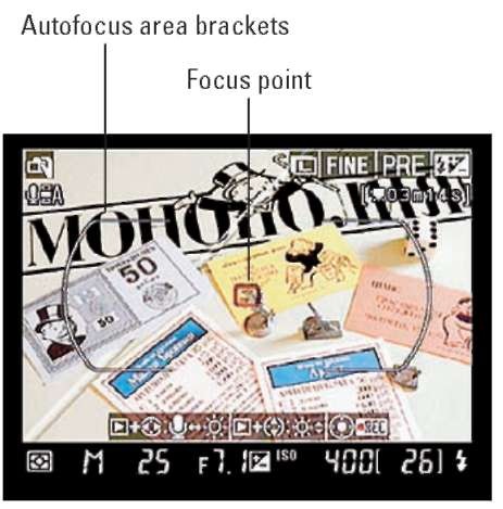 Use the Multi Selector to move the focus point over your subject.