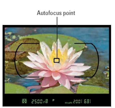 Frame your subject so that it falls under the autofocus point.