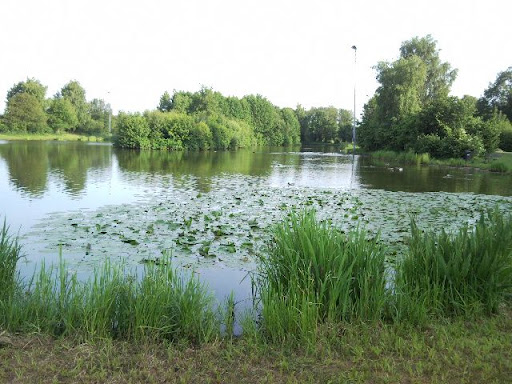 SNC00138.jpg