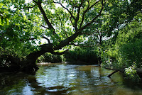 DSC_3483.JPG Photo