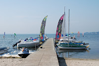 DSC_7738.JPG Photo