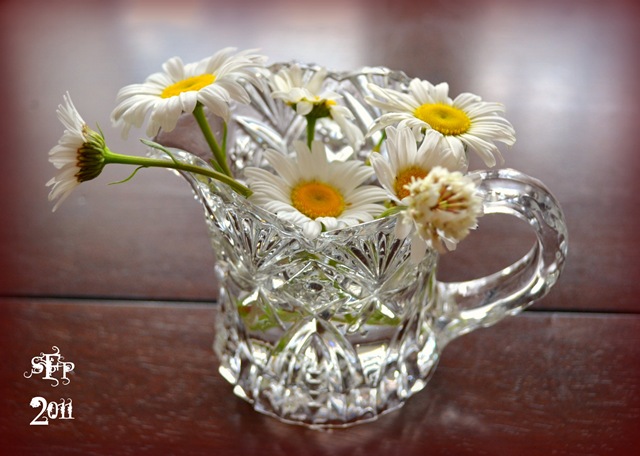 [daisies in a creamer cup[3].jpg]