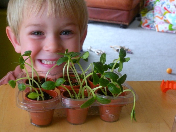 [plant 021[12].jpg]