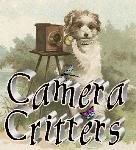 [CameraCritters3[2].jpg]
