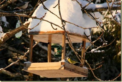 January2010 002-2