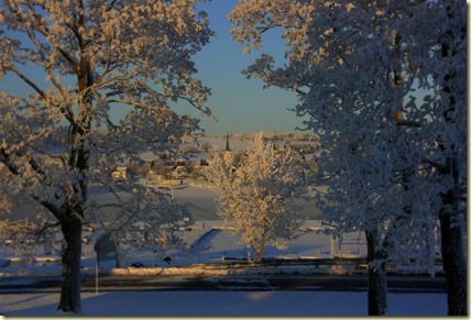 January2010 015-2