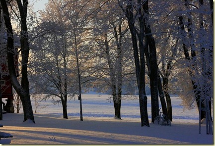 January2010 013-2