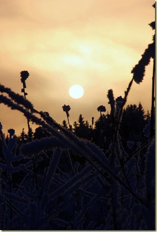January2010 110-2