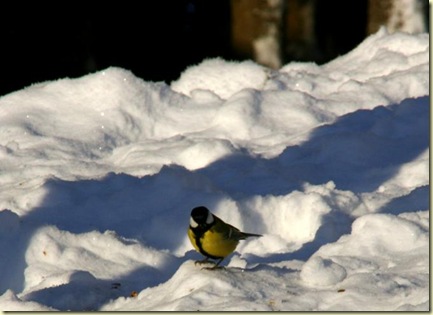 January2010 001-2