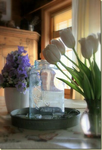 February2010 012-2