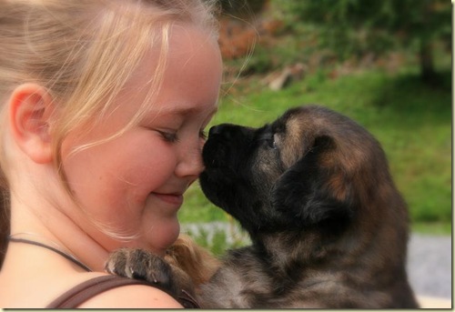 Isabellas Puppies 024-3