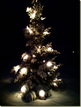 mobilepics 122-22