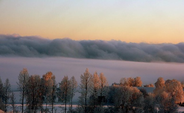 [December200911123.jpg]
