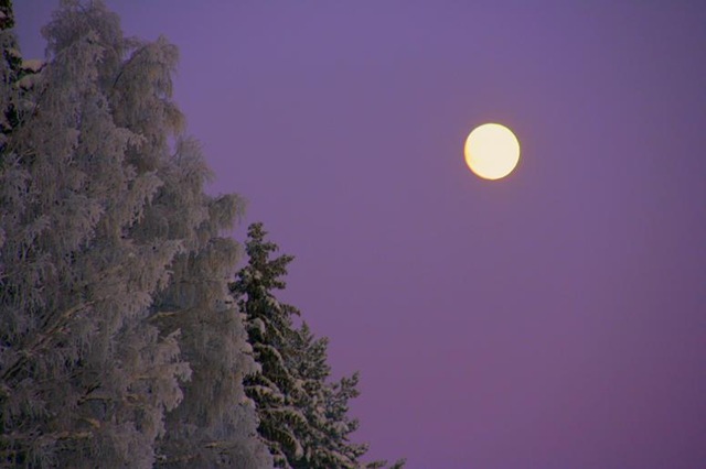 [December200913523.jpg]