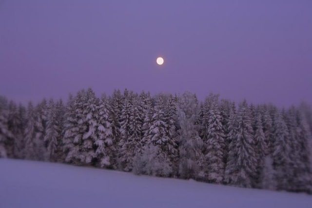 [December200916323.jpg]
